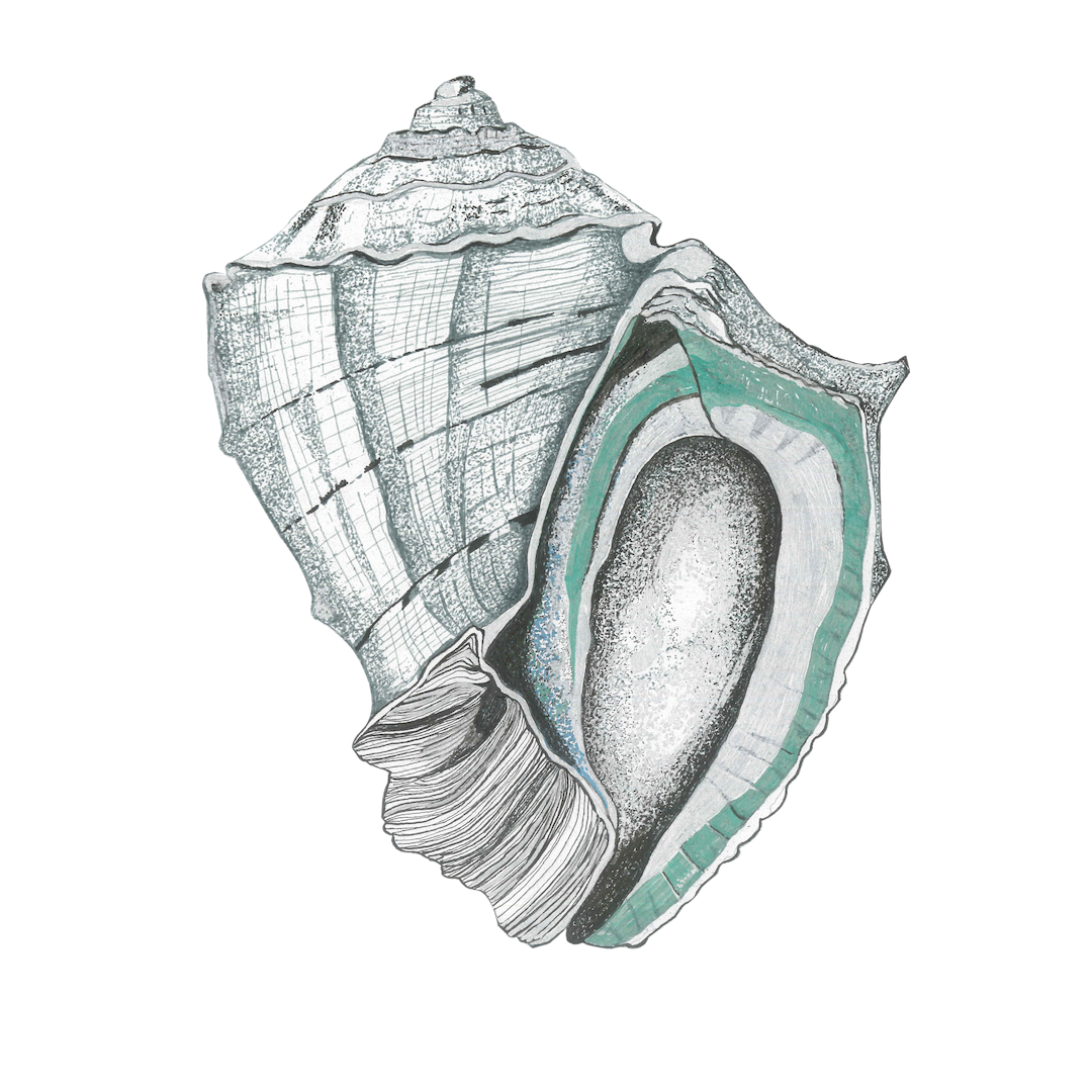 head